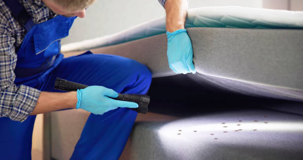 Best Local Pest Control Services  in Grandview Heights, OH