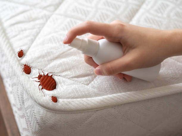 Best Local Pest Control Services  in Grandview Heights, OH